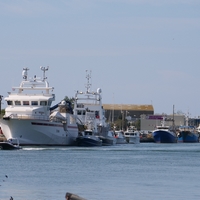 Photo de France - La randonnée de la Tamarissière